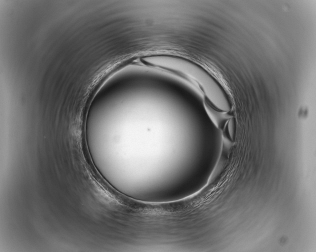 X0000099580389200805161240