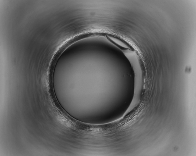 X0000099580391200805161240