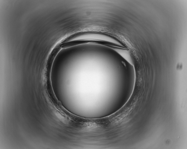 X0000099580392200805161240