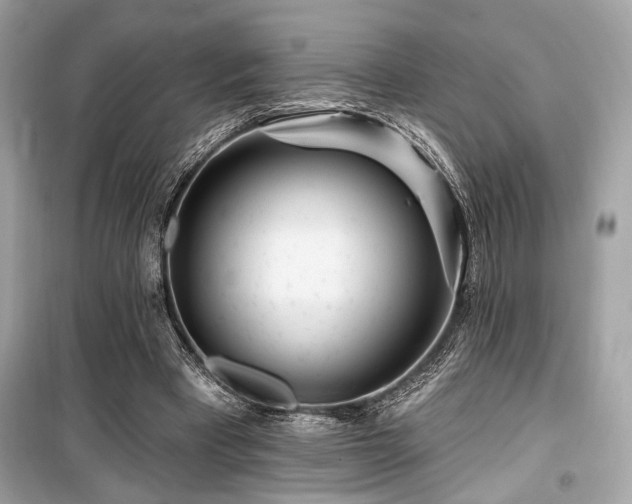 X0000099580393200805161240