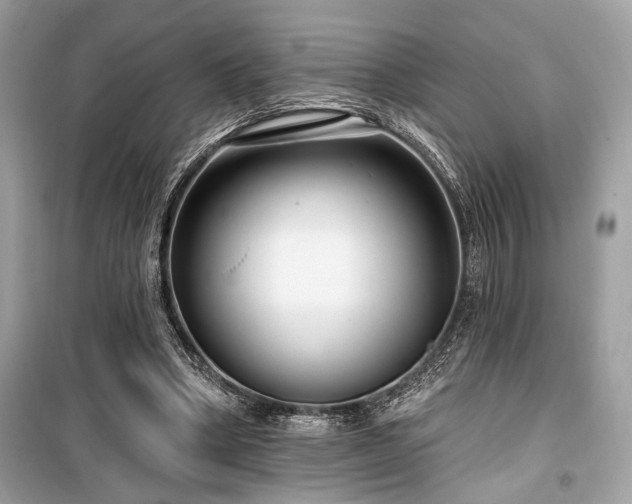 X0000099580394200805161240