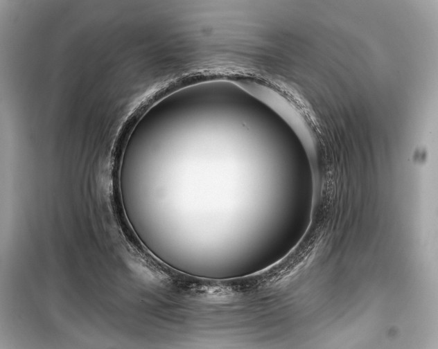 X0000099580395200805161240
