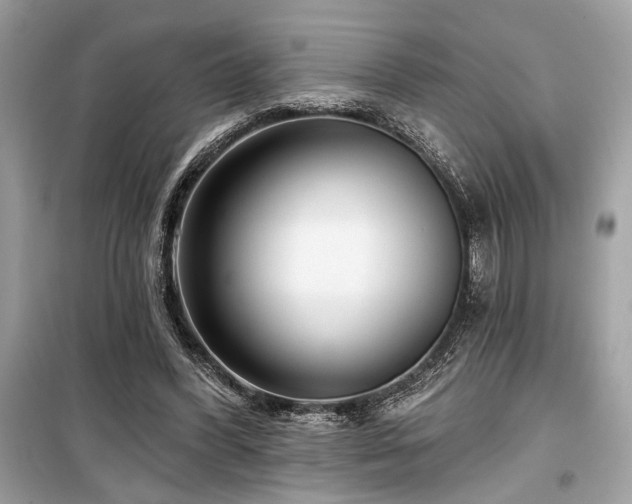 X0000099580396200805161240