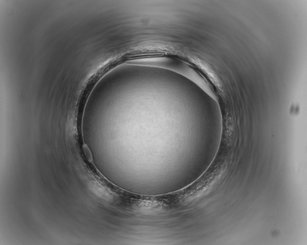 X0000099580399200805161240