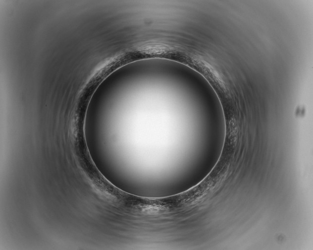X0000099580400200805161240