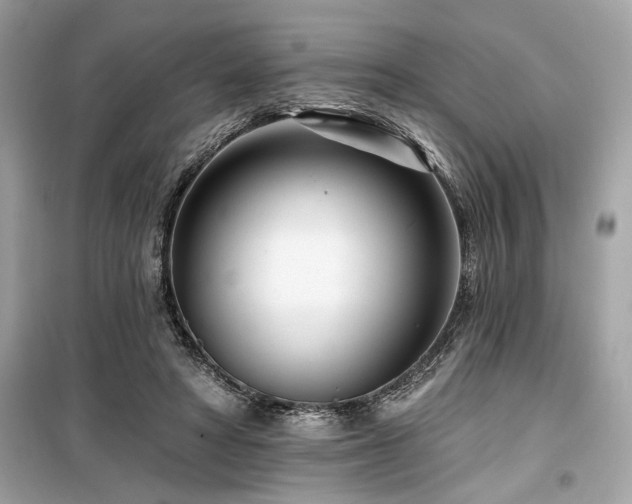 X0000099580402200805161240