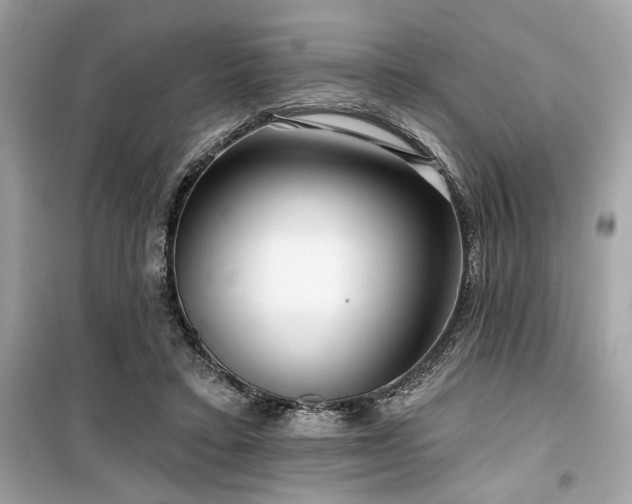 X0000099580403200805161240