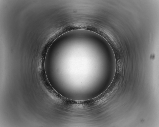 X0000099580404200805161240