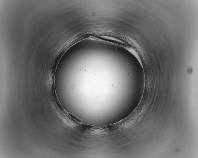 X0000099580405200805161240