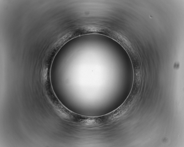 X0000099580406200805161240