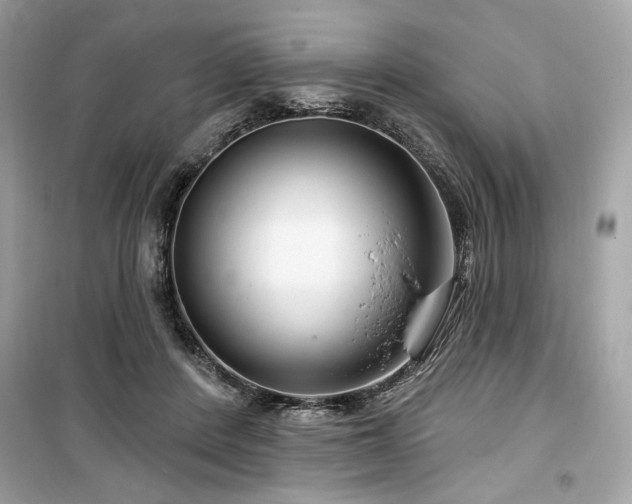 X0000099580408200805161240