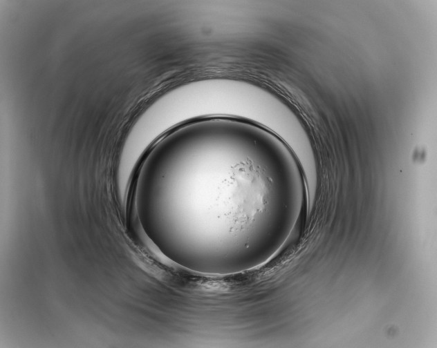 X0000099580409200805161240