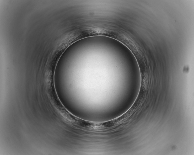 X0000099580410200805161240