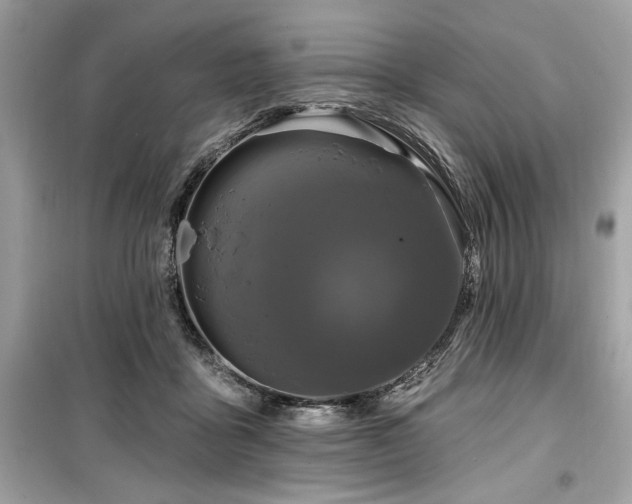 X0000099580411200805161240