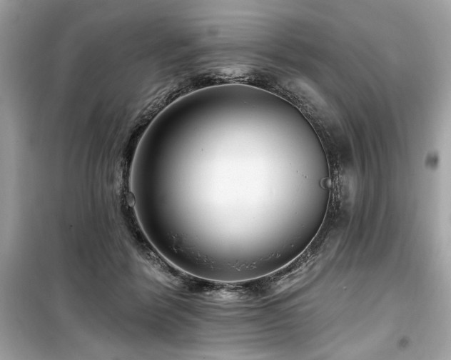 X0000099580412200805161240