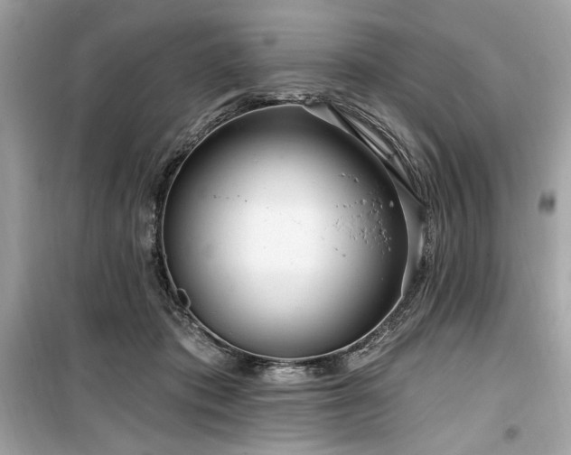 X0000099580413200805161240