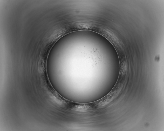 X0000099580414200805161240