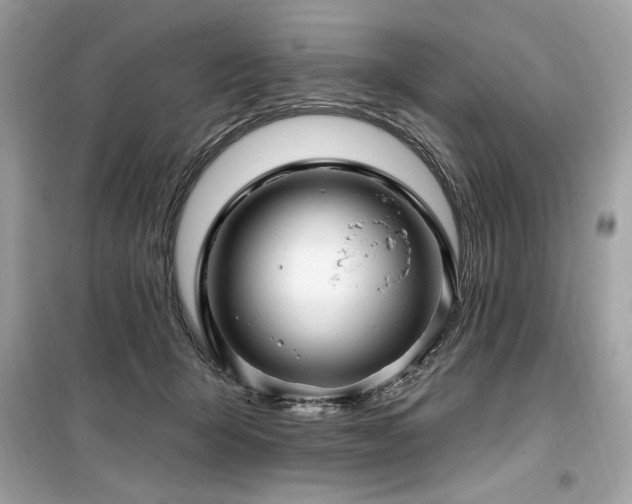 X0000099580415200805161240