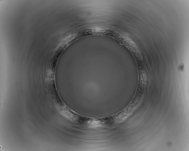 X0000099580419200805161240
