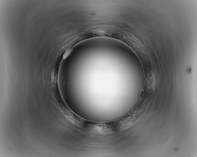 X0000099580420200805161240