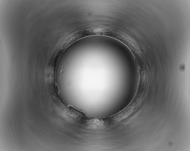 X0000099580421200805161240