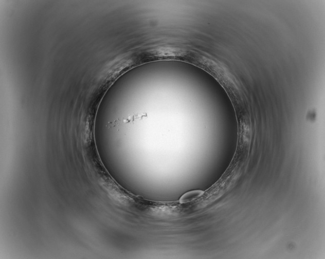 X0000099580422200805161240