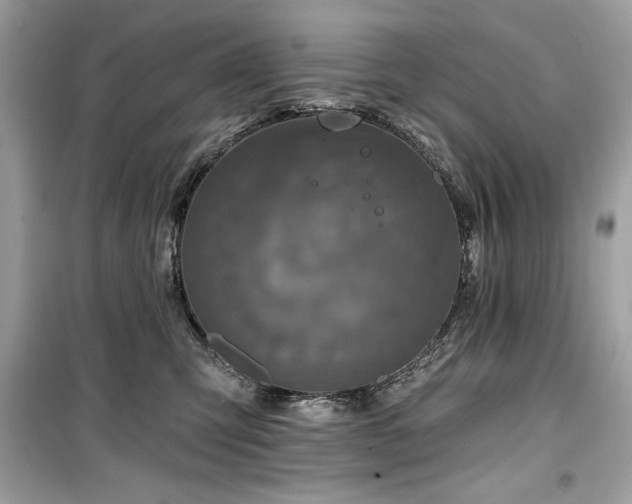X0000099580423200805161240