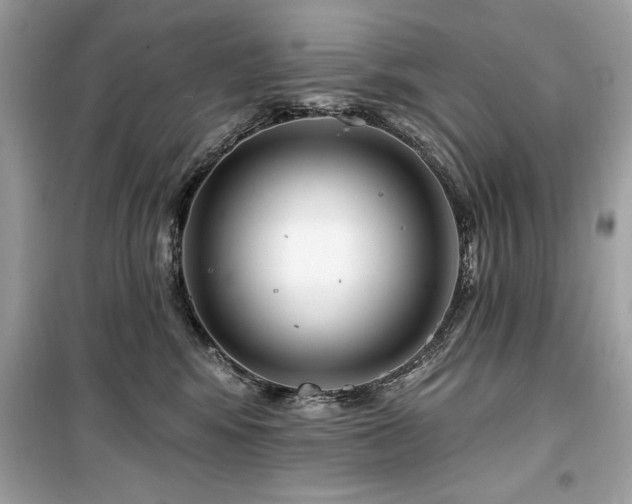 X0000099580424200805161240