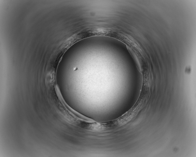 X0000099580425200805161240
