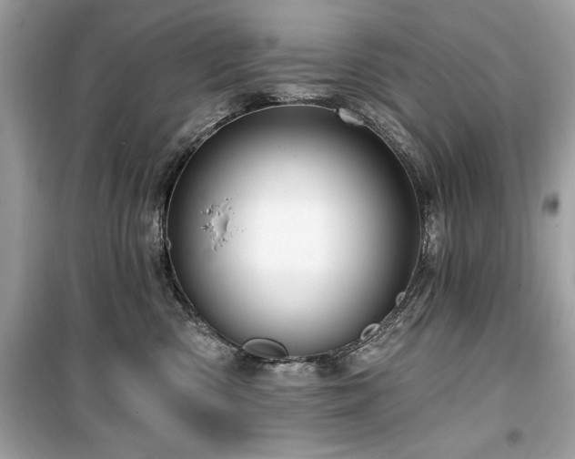X0000099580426200805161240