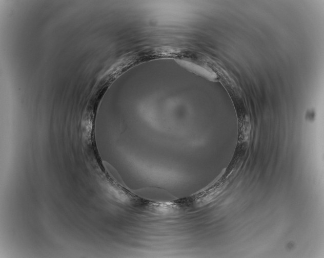 X0000099580427200805161240