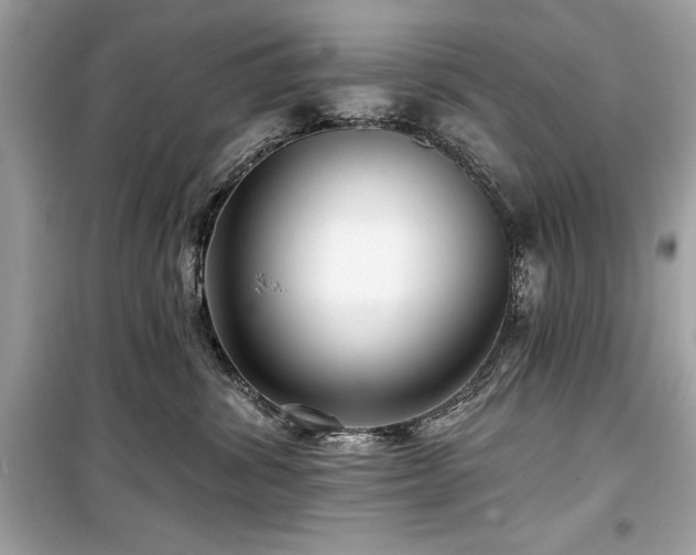 X0000099580428200805161240