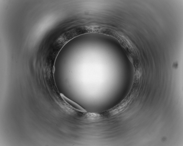 X0000099580429200805161240