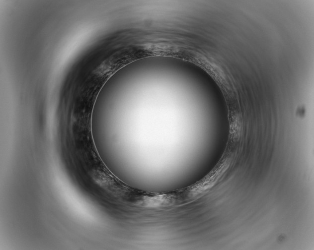 X0000099580430200805161240
