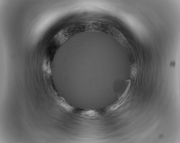 X0000099580431200805161240