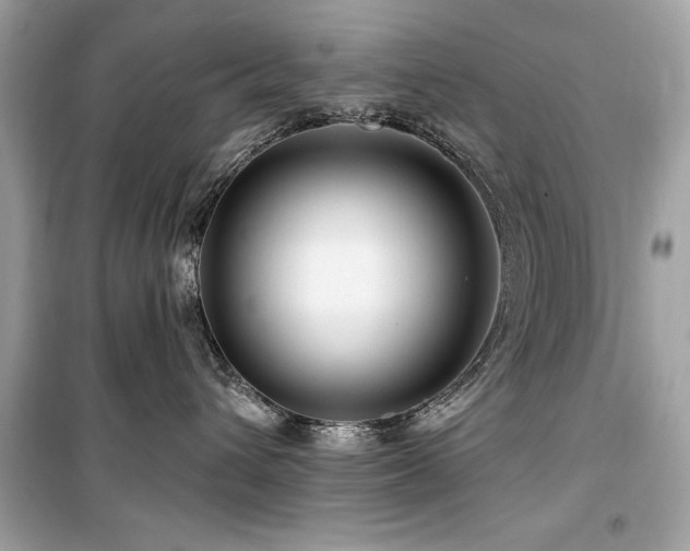 X0000099580432200805161240