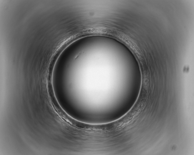 X0000099580434200805161239