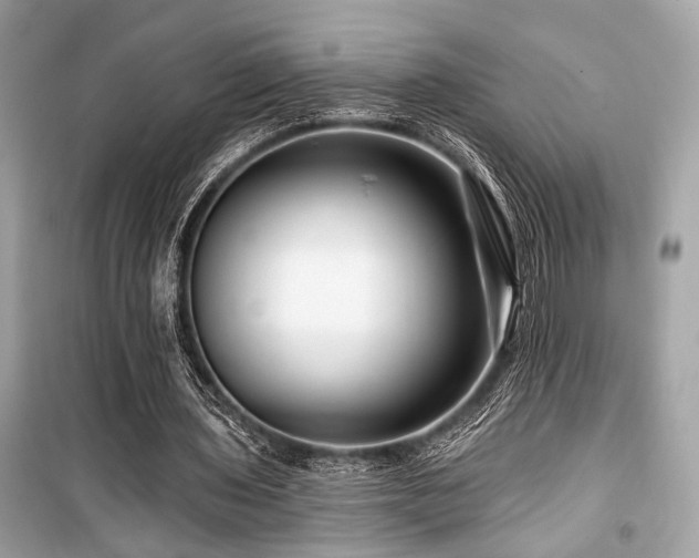 X0000099580435200805161239