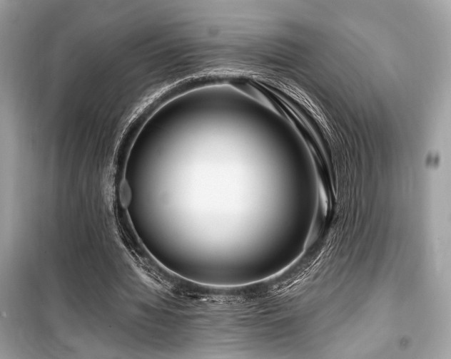 X0000099580436200805161239