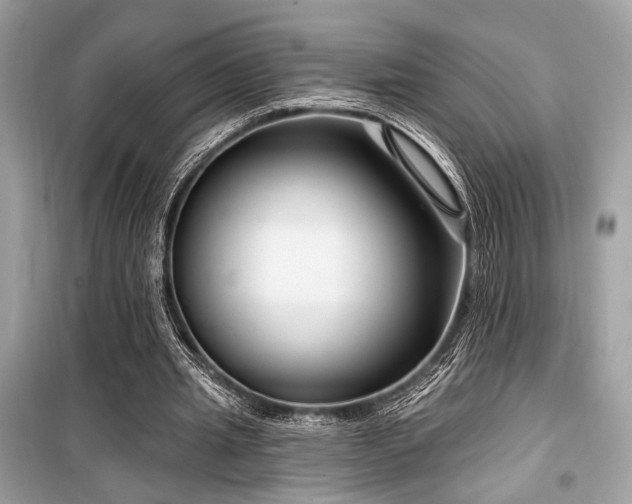 X0000099580437200805161239