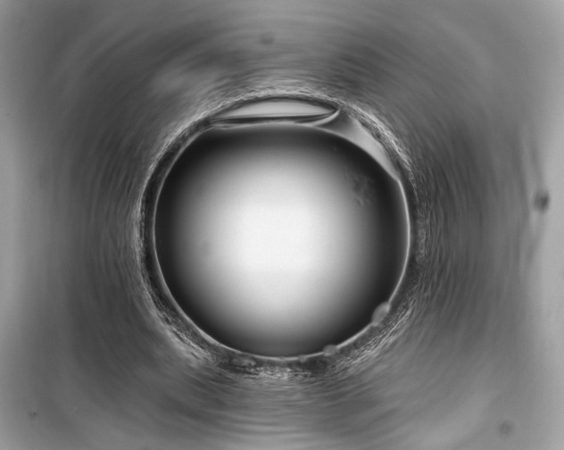 X0000099580439200805161239