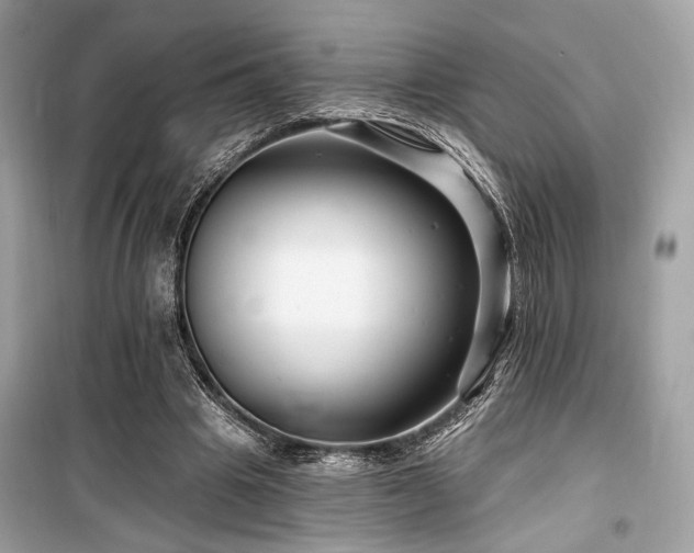 X0000099580441200805161239