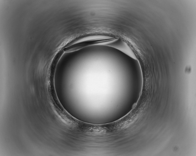 X0000099580443200805161239