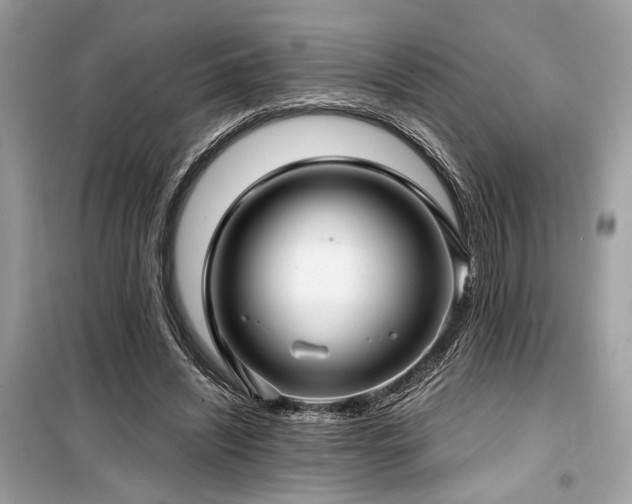 X0000099580444200805161239