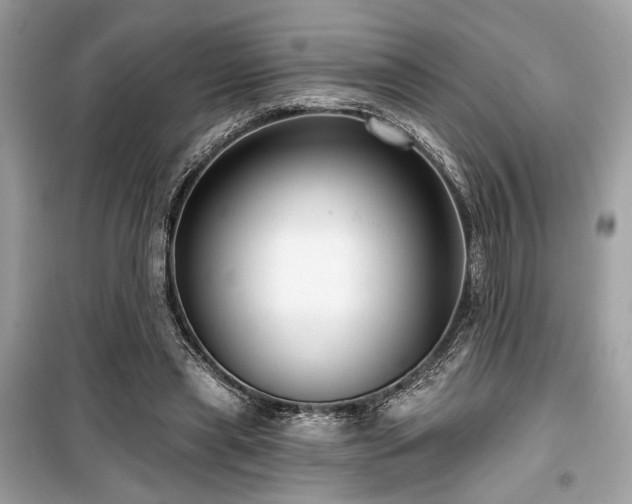 X0000099580445200805161239
