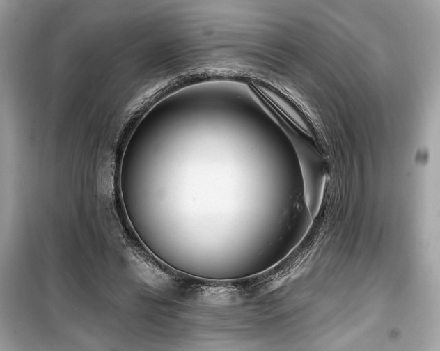 X0000099580446200805161239