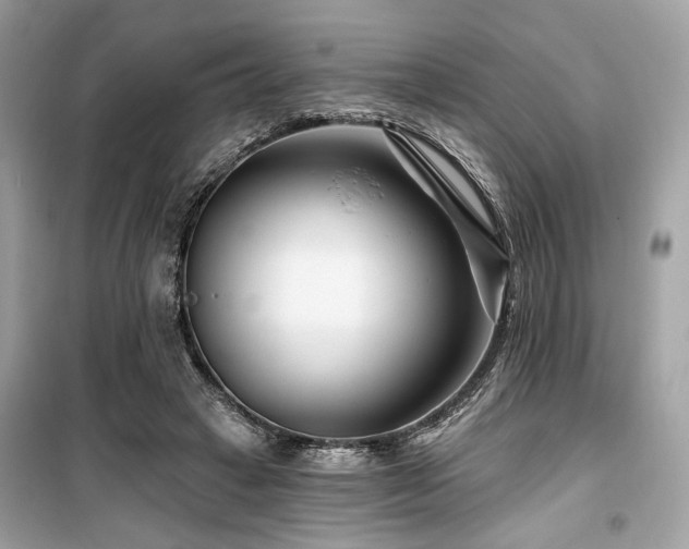 X0000099580449200805161239