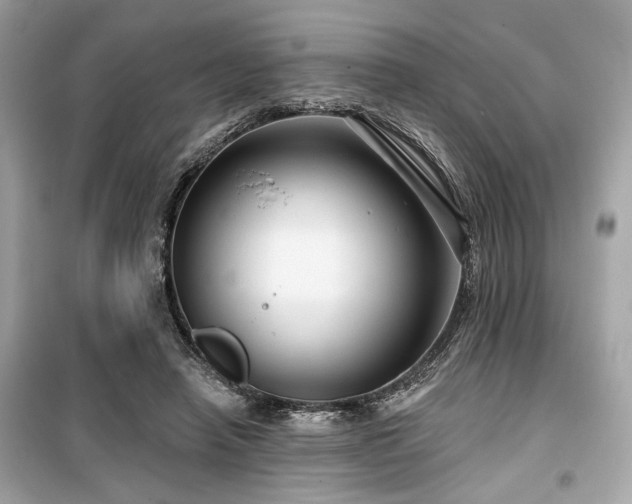 X0000099580450200805161239
