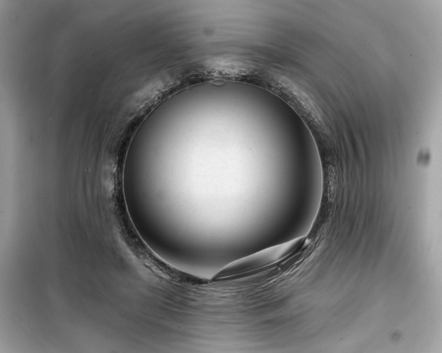 X0000099580451200805161239