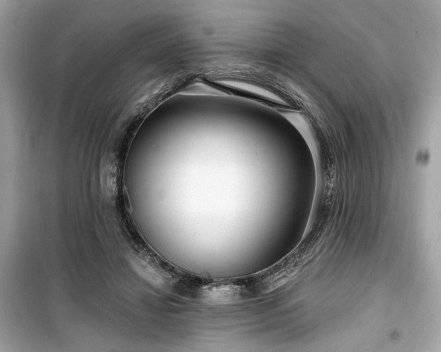 X0000099580452200805161239